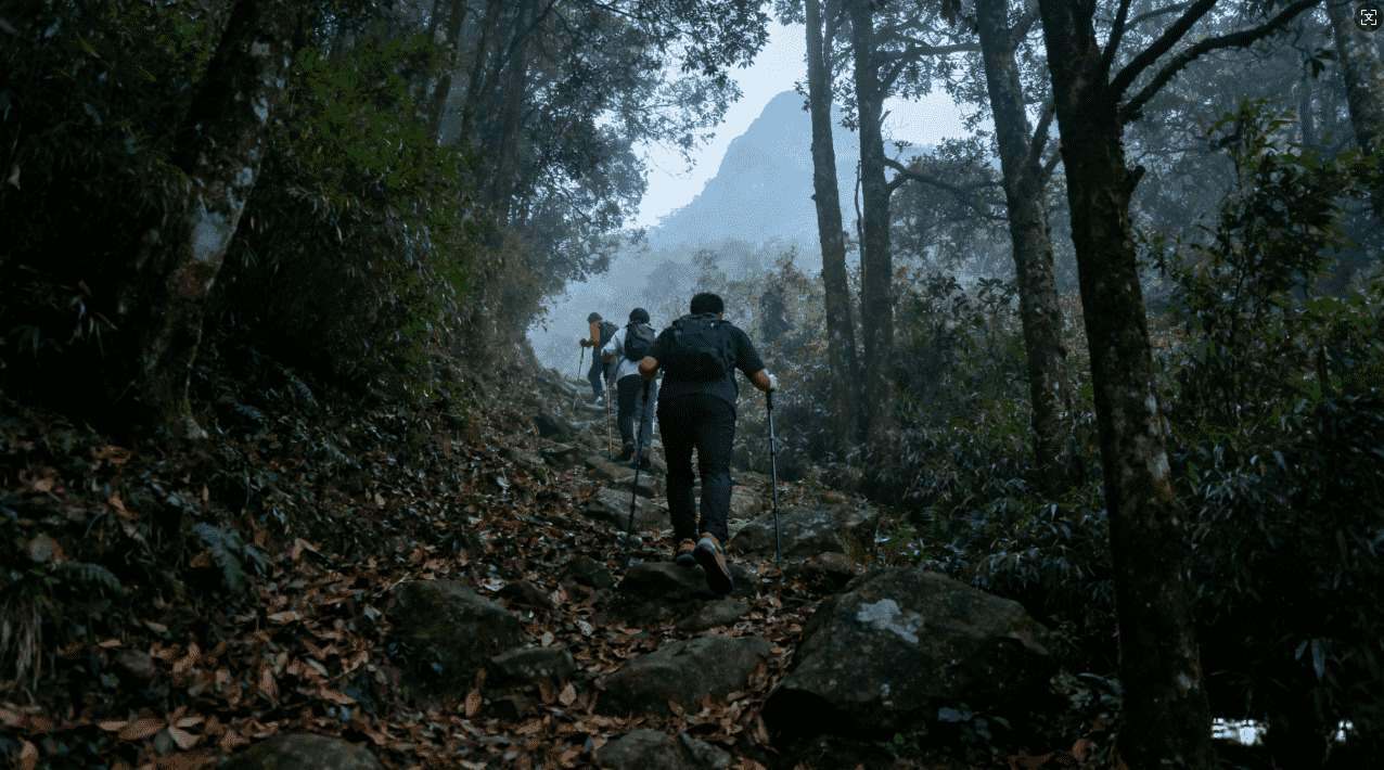 免费VPN电脑版加速器常见问题及解决方案